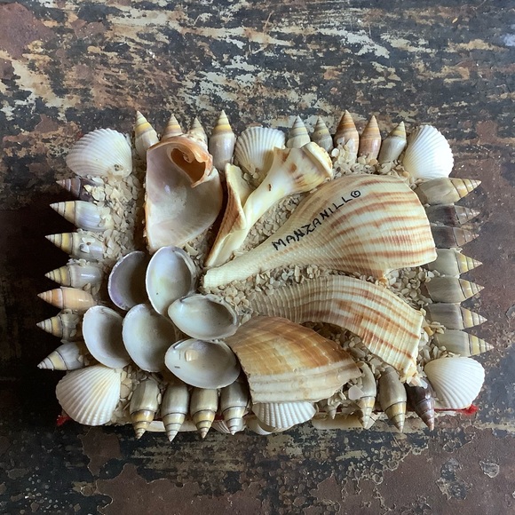 Vintage Manzanillo Mexico Souvenir Shell Box - Picture 1 of 9